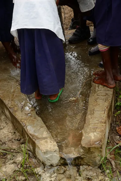 DSC_9398 (Large).JPG